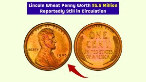 1909 Lincoln Wheat Penny